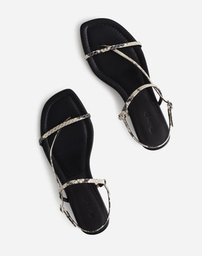 3 shoe size - 5 1/2