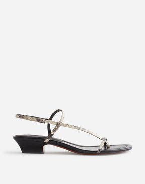 1 shoe size - 5 1/2